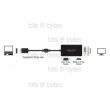 Delock DisplayPort 1.1 to HDMI / DVI / VGA Adapter 4043619626564 DP